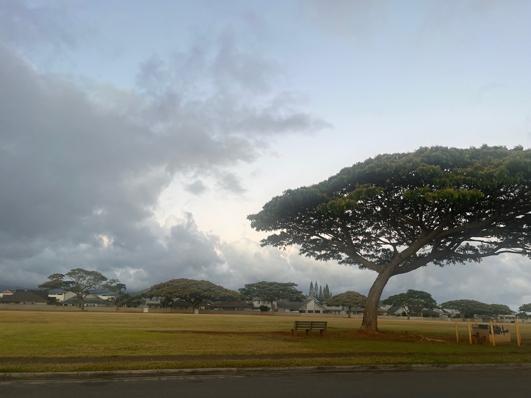 walking near me in Mililani Town Center Neighborhood Park in summer