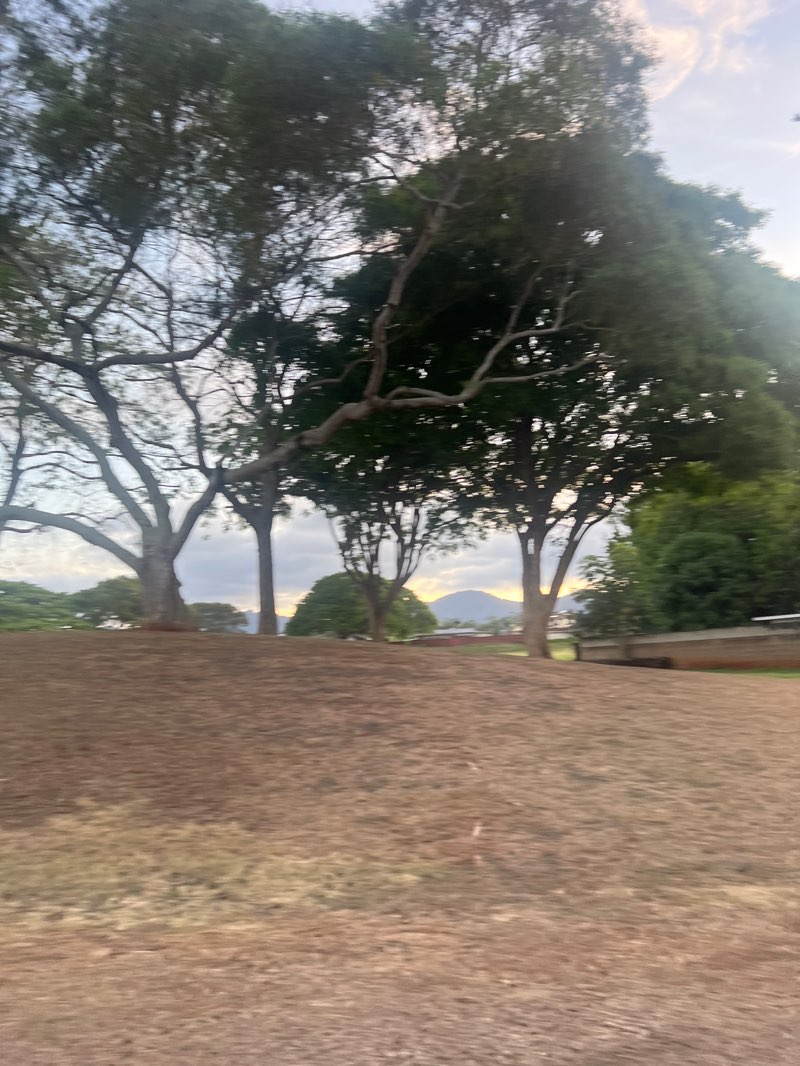 walking near me in Mililani Neighborhood Park in summer