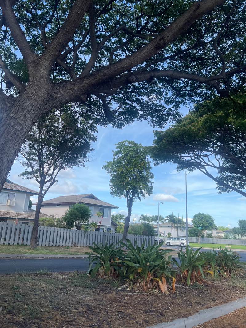 walking near me in Kapolei Knolls Community Park in summer