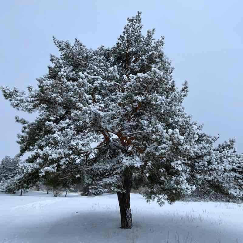 January Group Challenge Анна post image