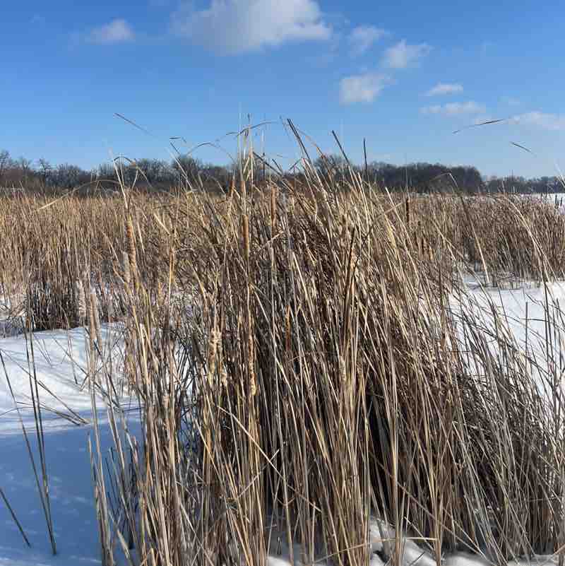 Дорогая Самара, Russia 🇷🇺 Анна post image