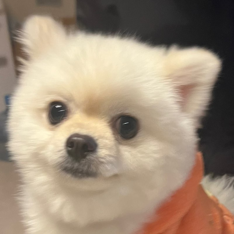痩せたらいいのにな profile