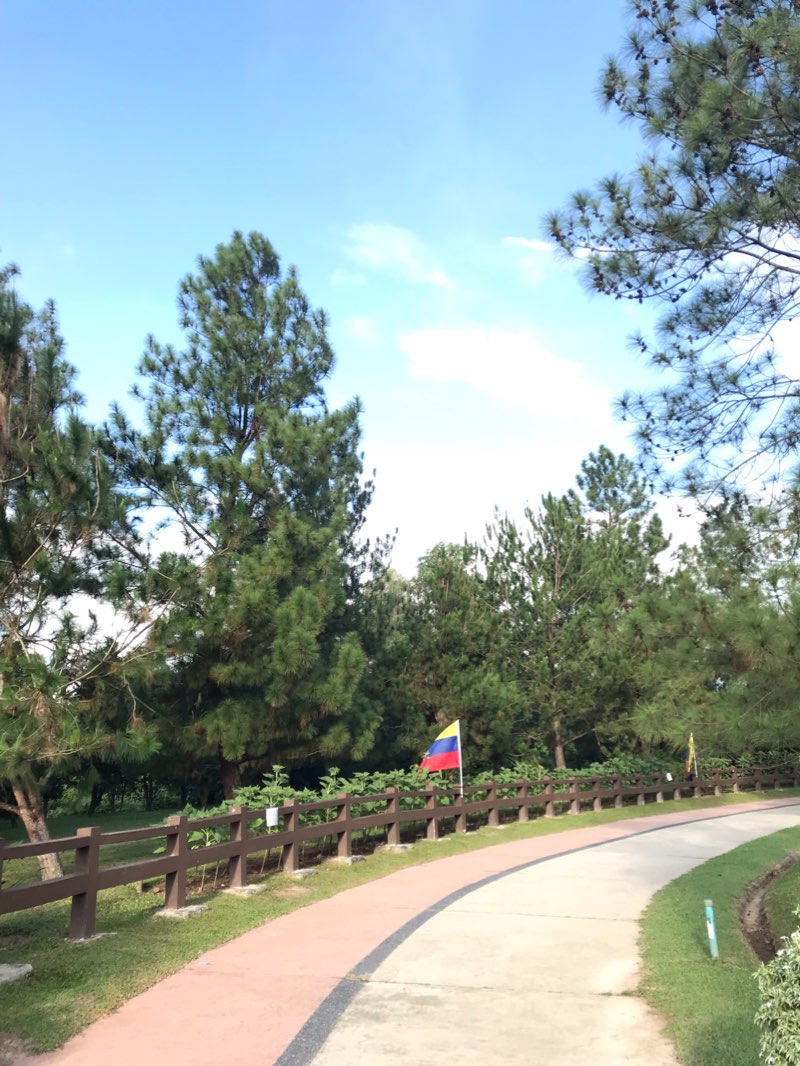 walking near me in Taman Saujana Hijau in winter