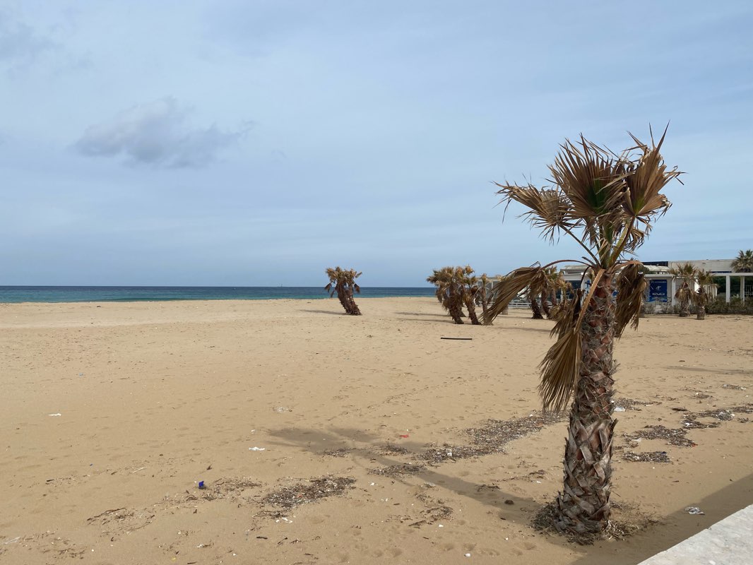 walking near me in Villa Regina Margherita in winter