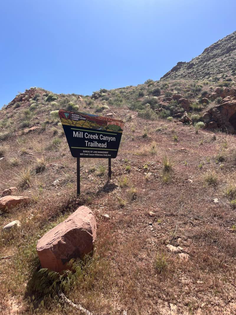 walking near me in Rotary Park in winter