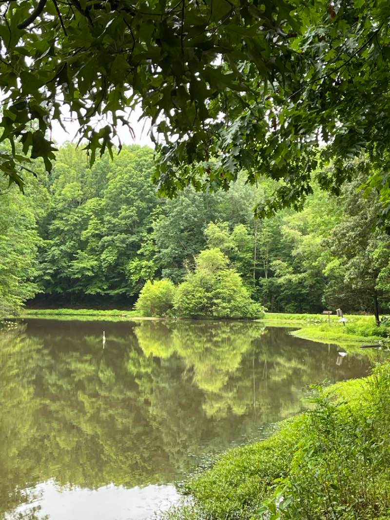 walking near me in Bur-Mill Park in spring
