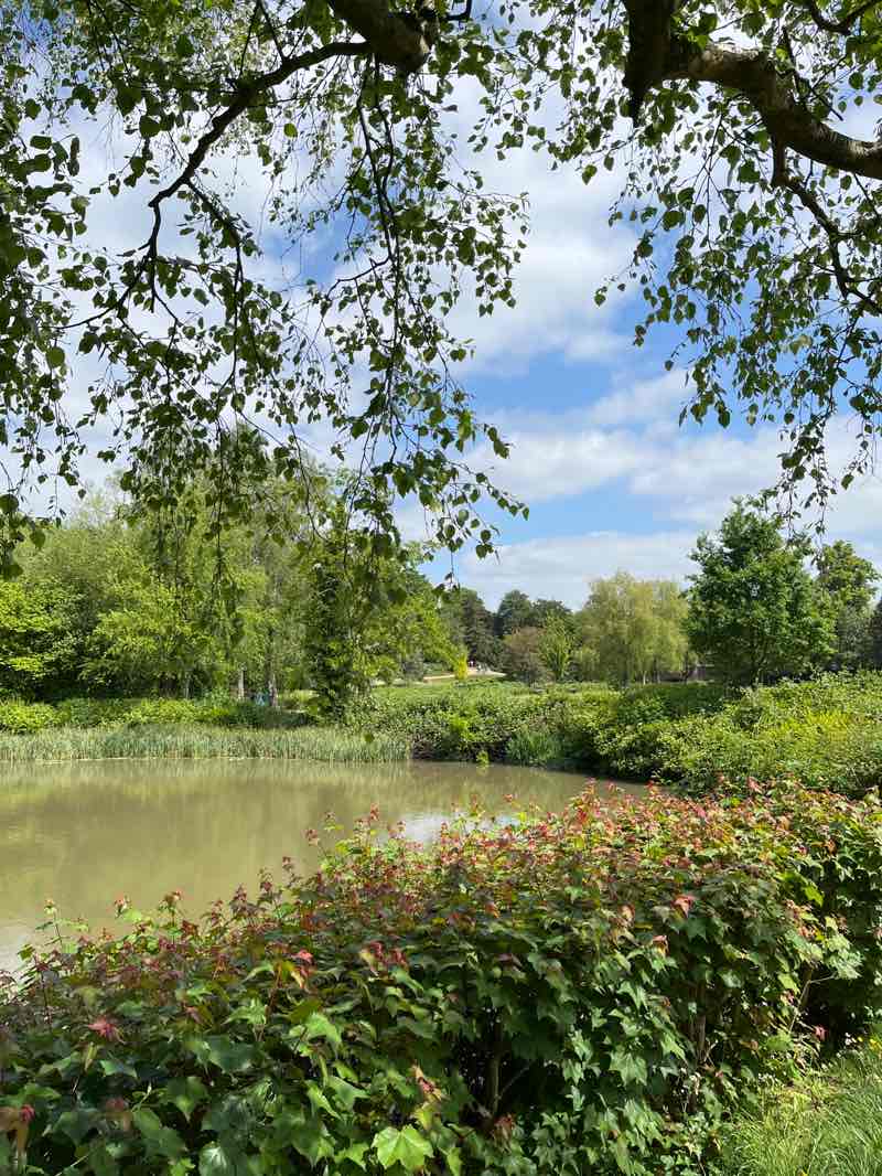 walking near me in Mill Gardens in spring