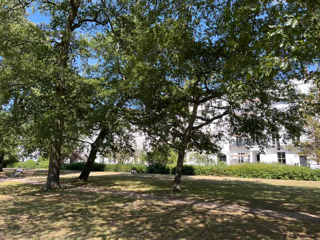 walking near me in Clarendon Square Gardens in summer