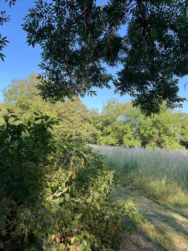 walking near me in Dragon Cottage Park in summer