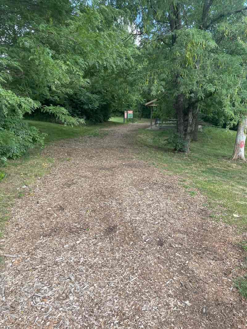 walking near me in Wilbur Young Park in summer
