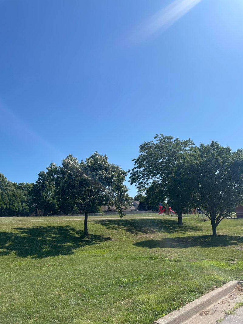 walking near me in Lucy Franklin Park in summer