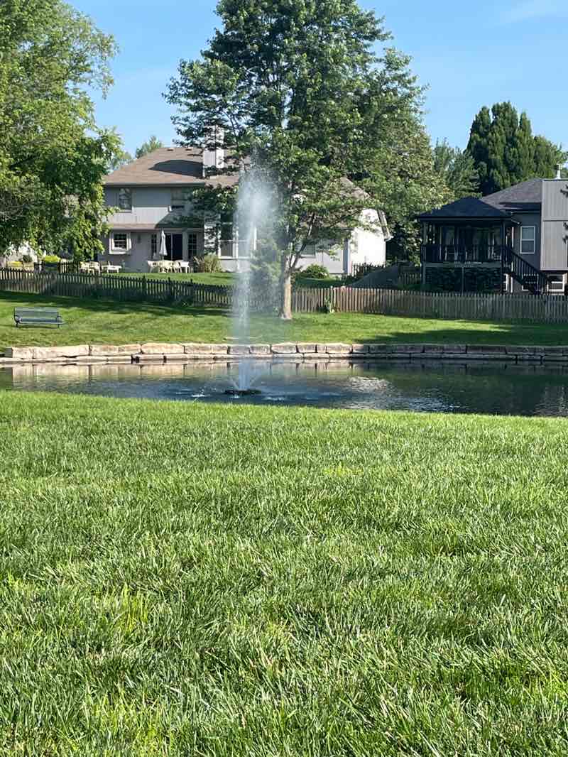 walking near me in Springbrook Park in summer