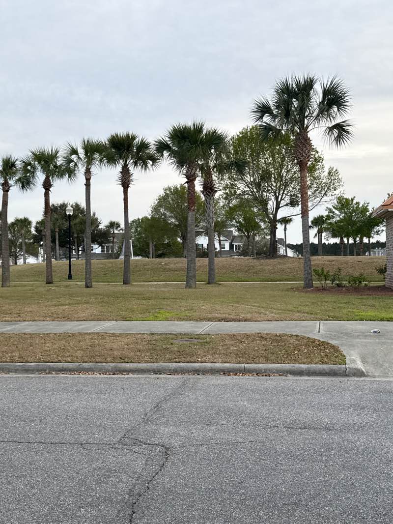 walking near me in Rice Mill Park in spring