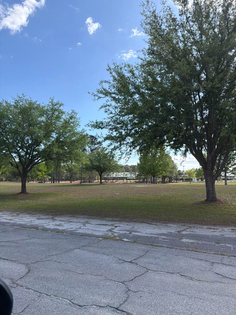 walking near me in L. Scott Stell Park in spring
