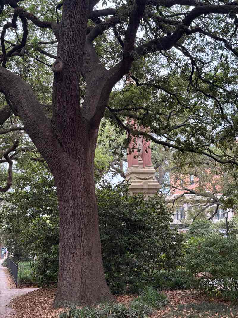 walking near me in Wright Square in spring