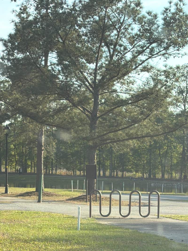 walking near me in Tom Triplett Park in spring
