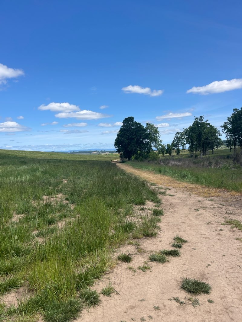 walking near me in Dallas City Park in spring