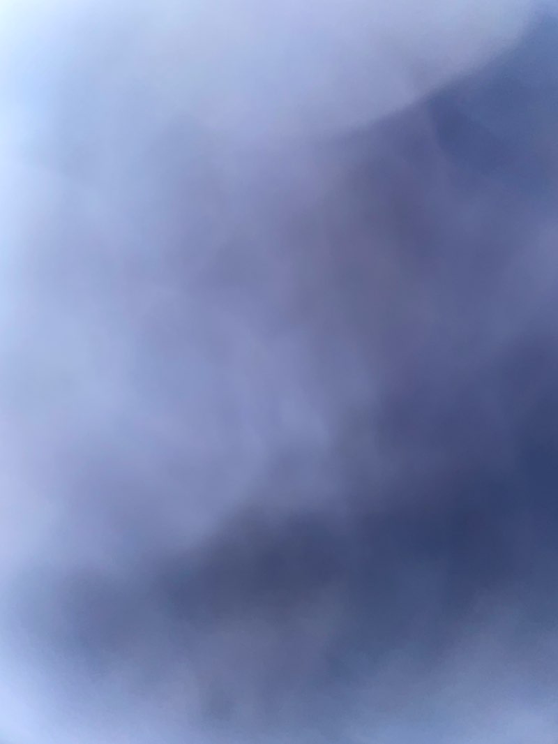 walking near me in Oakdale Park in winter