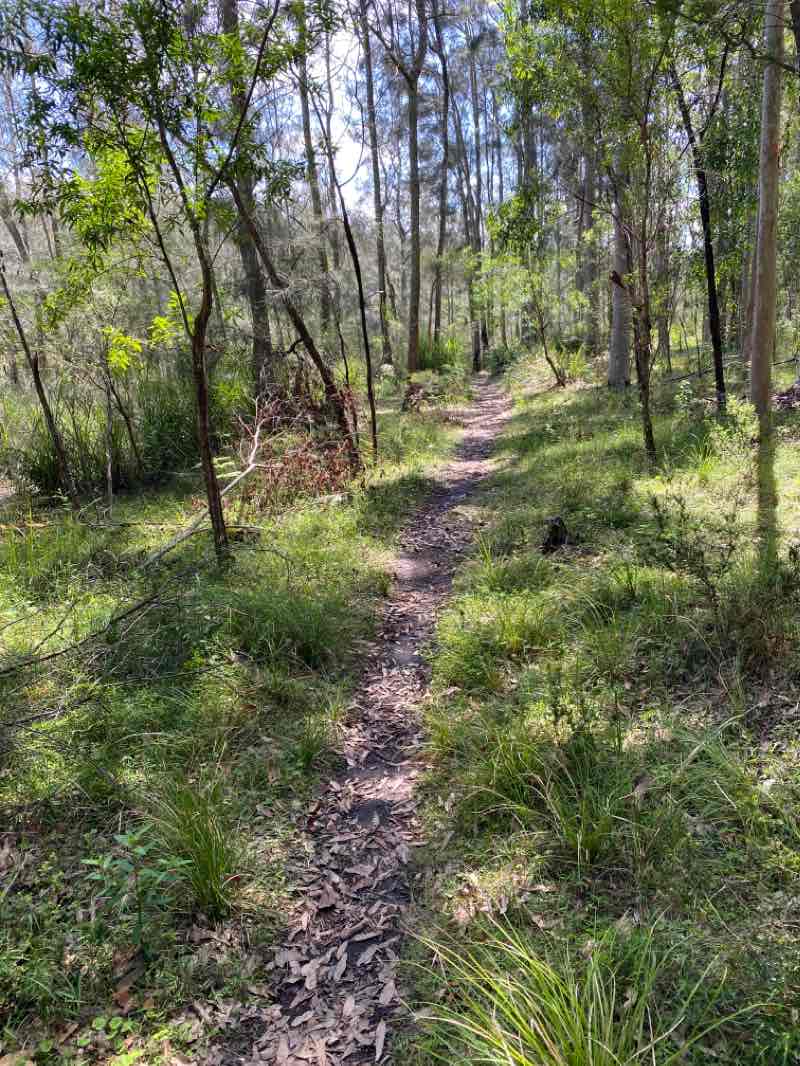walking near me in Corramy Regional Park in summer