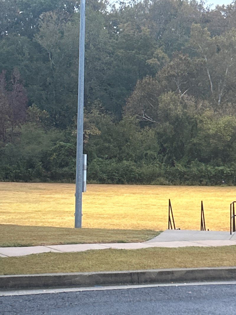 walking near me in Fowler Field Park in autumn
