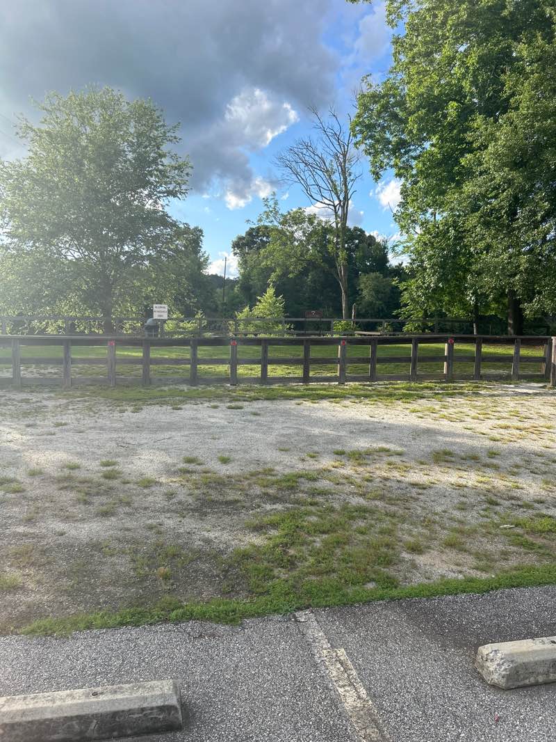 walking near me in Riverside Park in spring