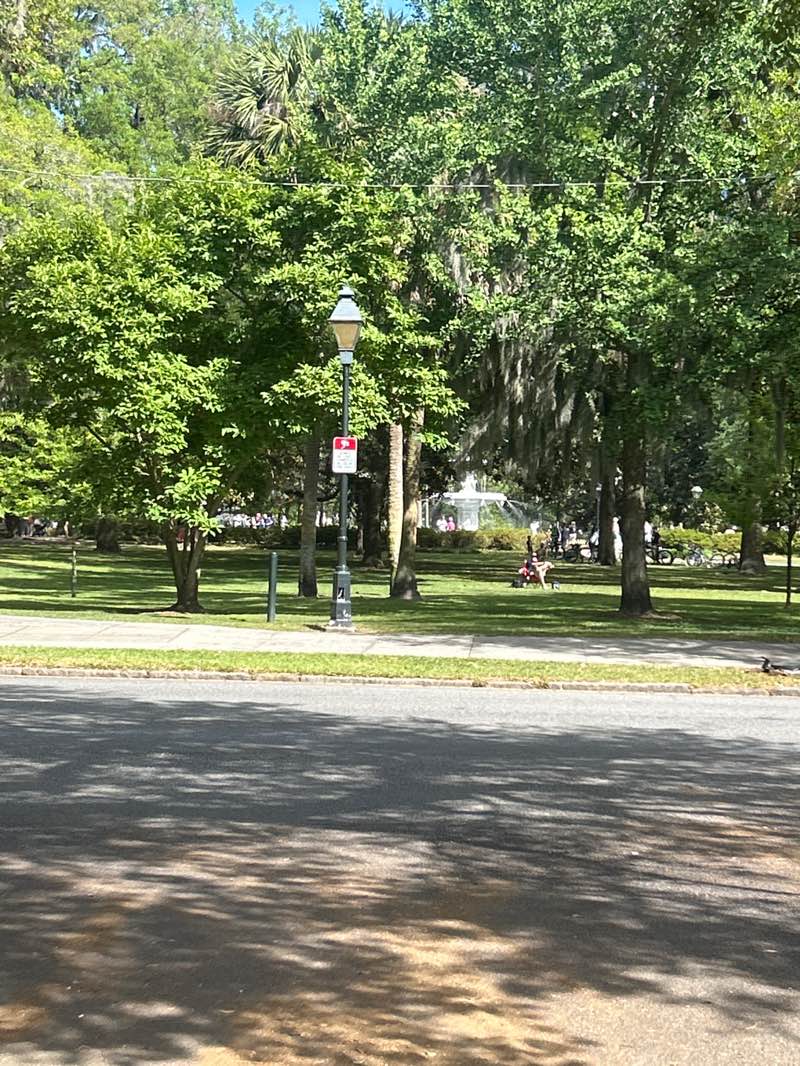 walking near me in Forsyth Park in spring