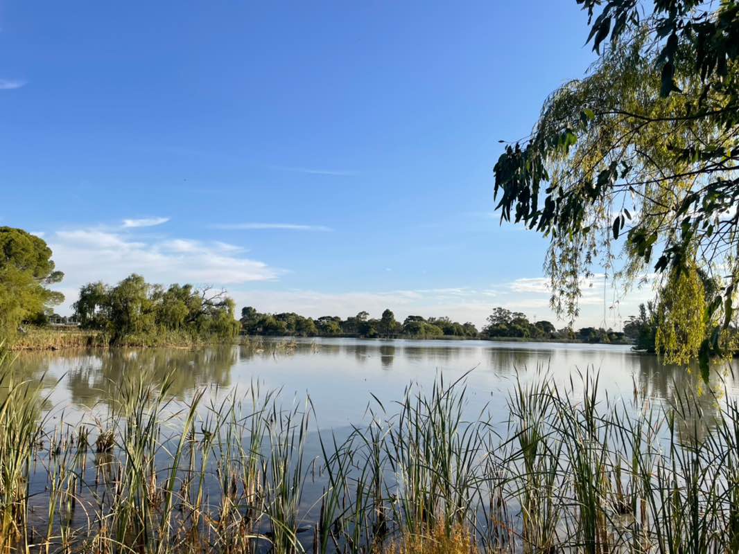 walking near me in McAlister Park in summer