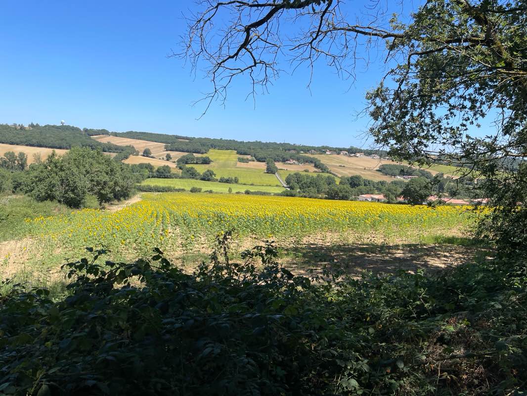 walking near me in Parc des Marots in winter
