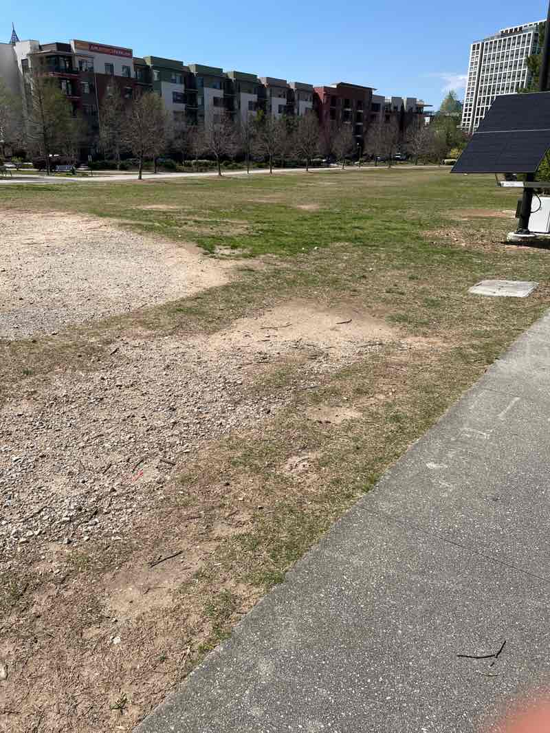 walking near me in Fourth Ward Park in spring