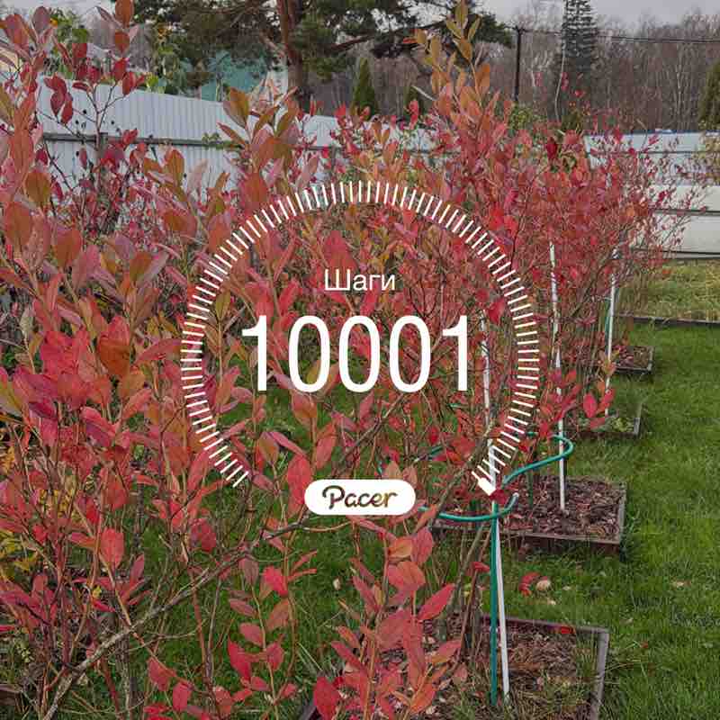 Алексей 🇷🇺 post 1