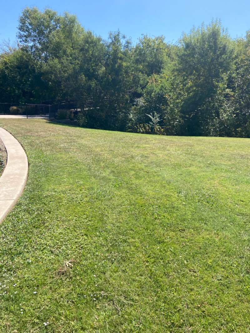 walking near me in Heights Park in autumn