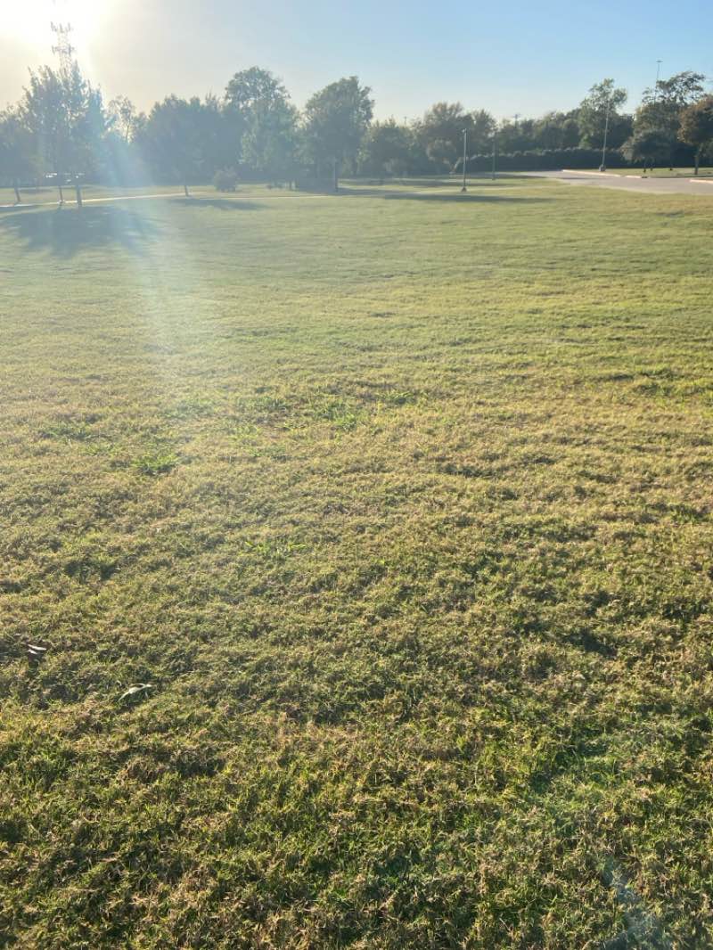 walking near me in Veterans Memorial Park in autumn