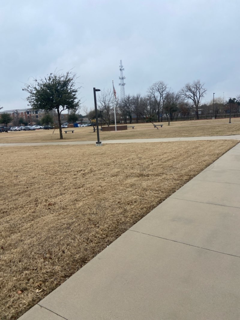 walking near me in Veterans Memorial Park in winter