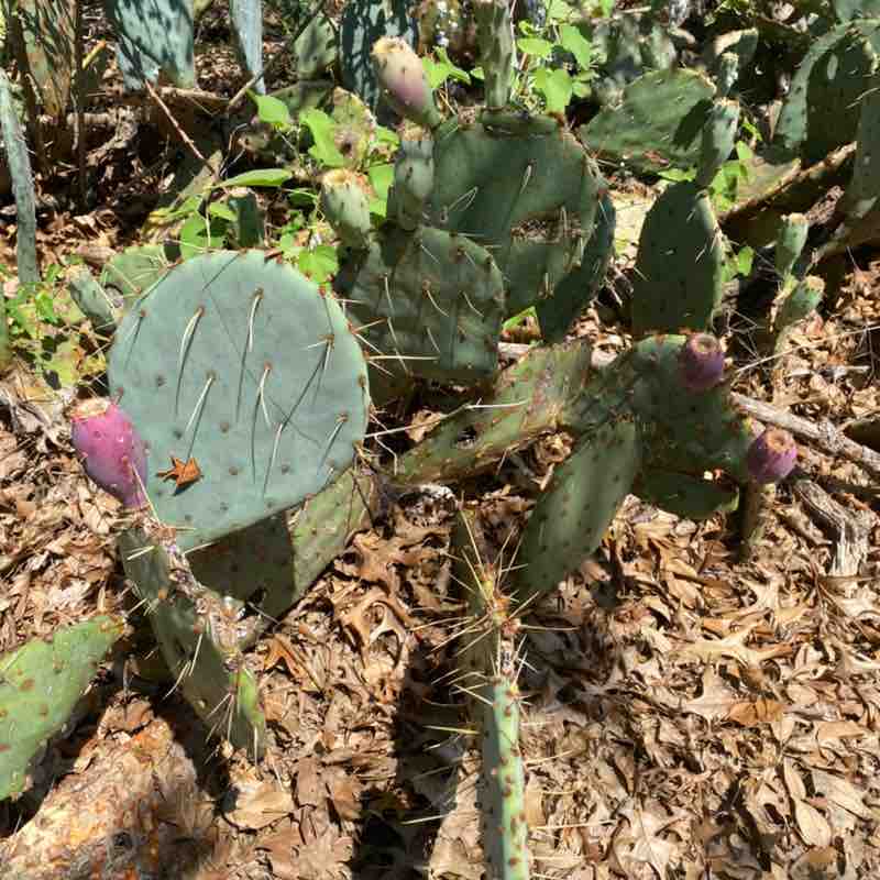 Kgreeneyes1980 post 3