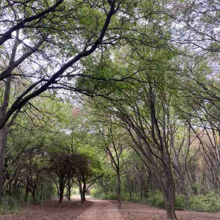 Kgreeneyes1980 post 1