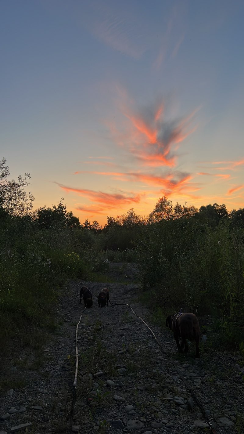 walking near me in Park Rozrywki Gdów Zarabie in winter