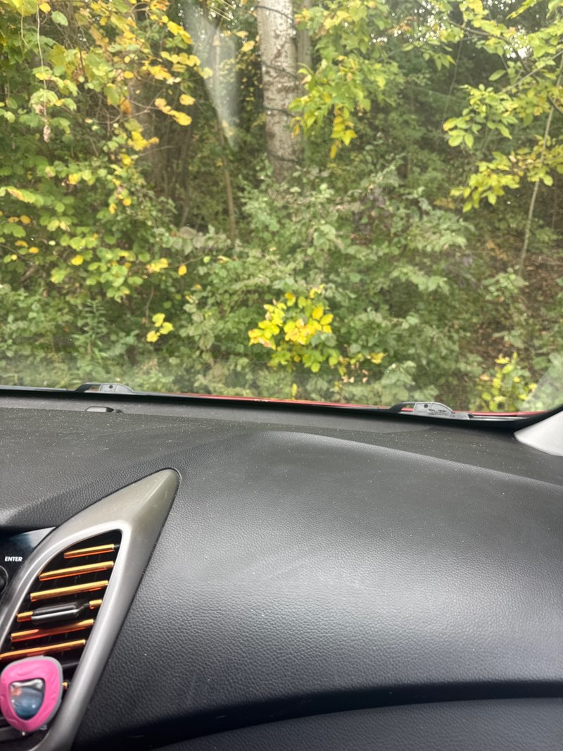 walking near me in Dufferin Islands in autumn