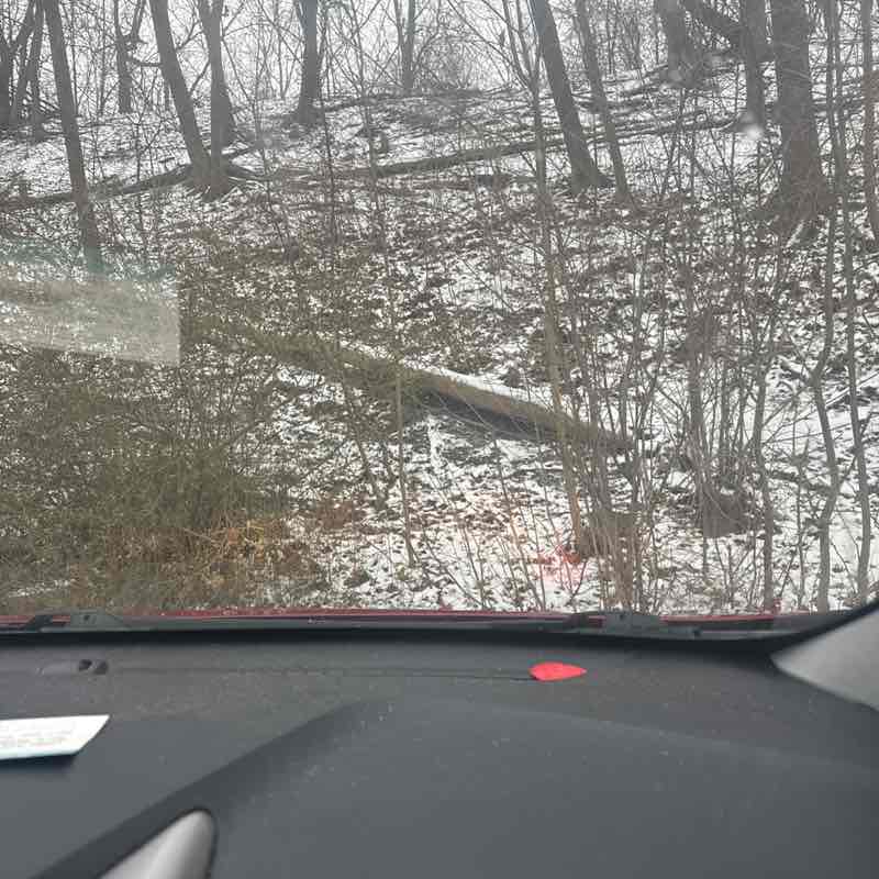 William Rogers post 1