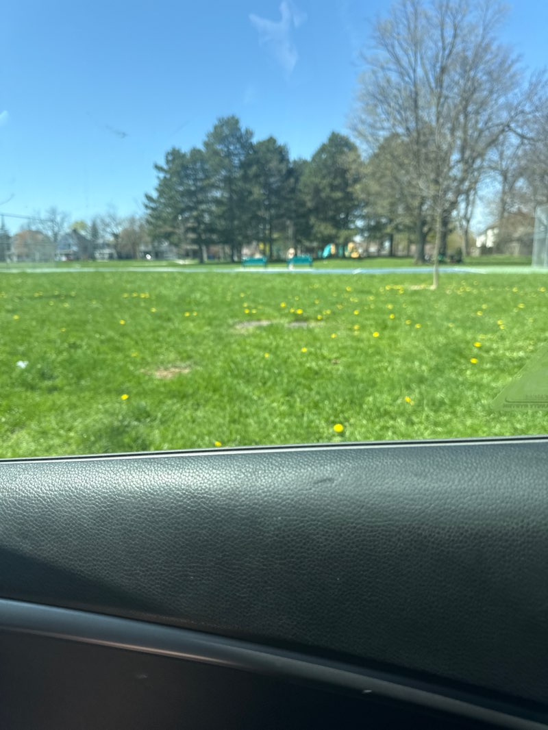 walking near me in A J Mckinley Park in spring