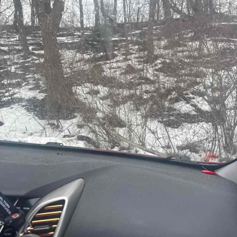 William Rogers post 1