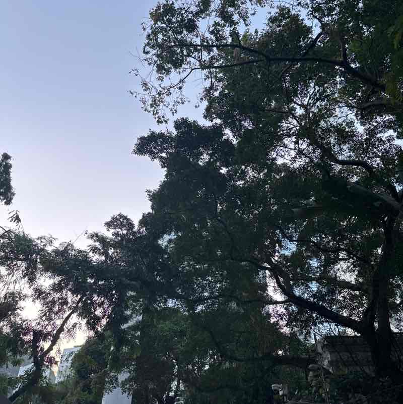 Stef Goodvibes post 1