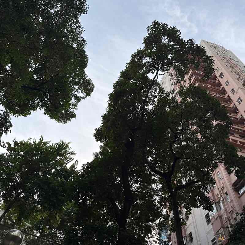 Stef Goodvibes post 1