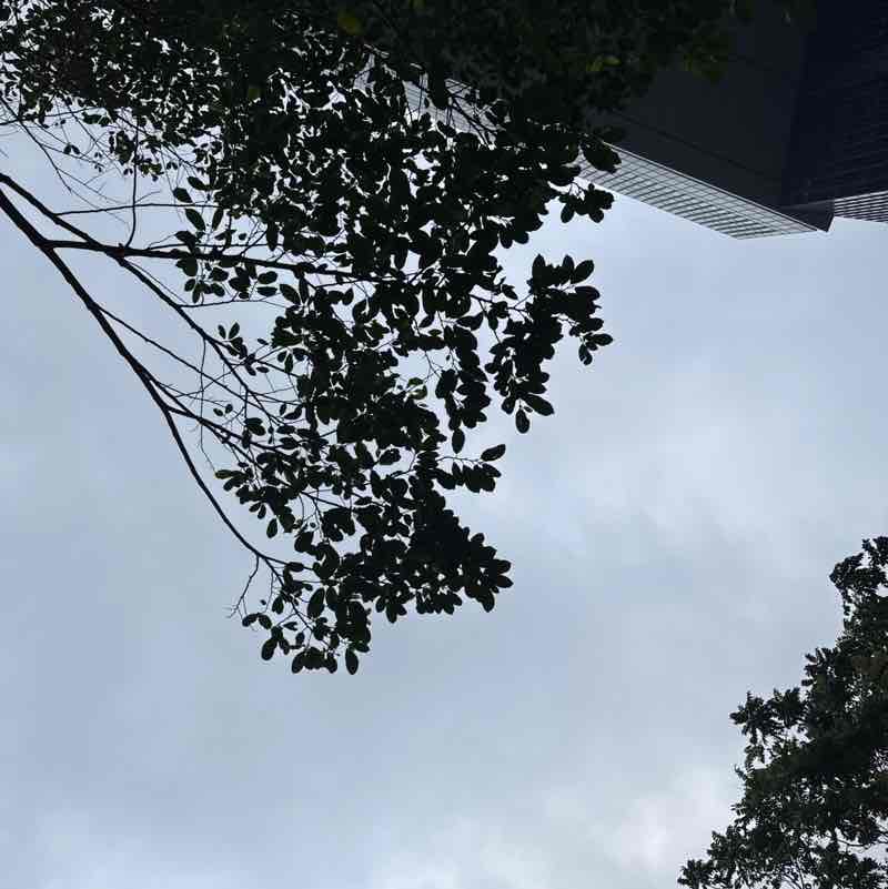 Stef Goodvibes post 1