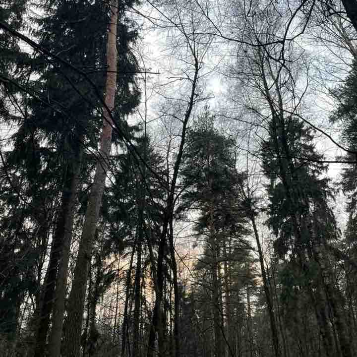 Anya 🤍🌿✨ post 2