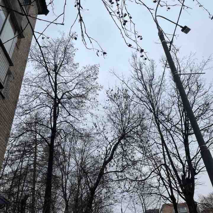 Anya 🤍🌿✨ post 1