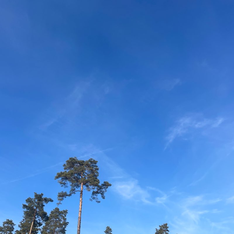 Anya 🤍🌿✨ post 1