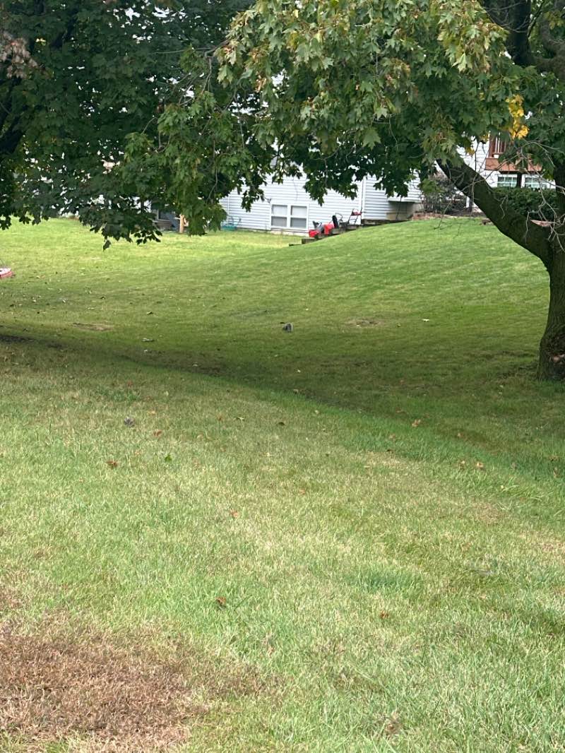 walking near me in Jim Hansen Park in autumn