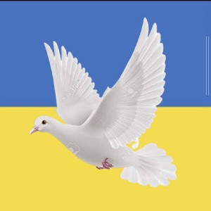 k.m💙💛🇺🇦🇯🇵🤍♥