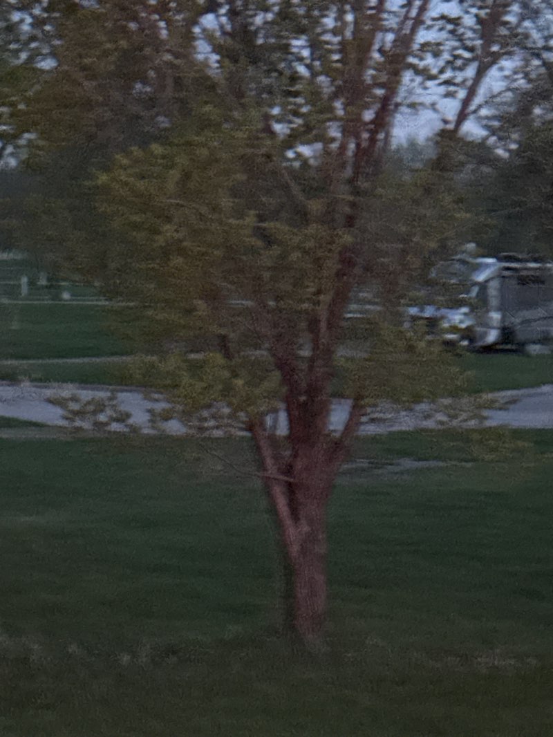 walking near me in Grand Forks Greenway in spring