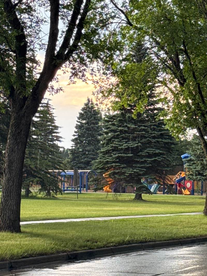 walking near me in Kelly Schroeder Play Field in summer